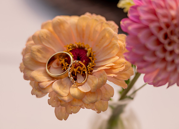 Wedding-11