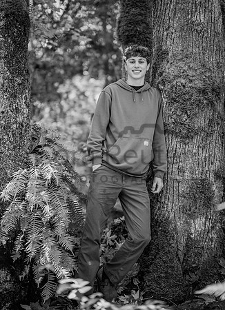 DSC_3354-2