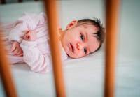 DSC_8745