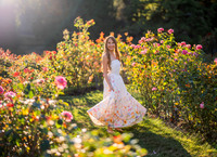 Jasmine at the Pt Defiance Rose Garden