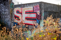 DSC_5354