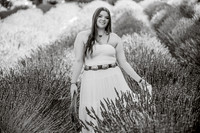 DSC_6429-2