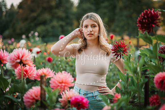 DSC_8675