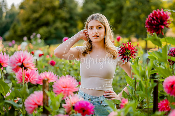 DSC_8675-2