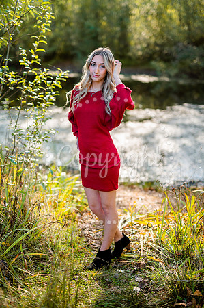 DSC_8702-2