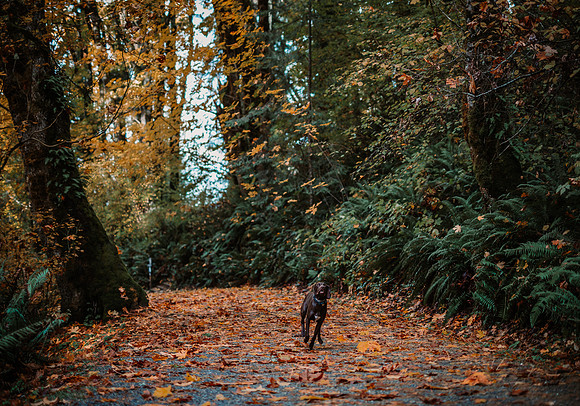 DSC_4773