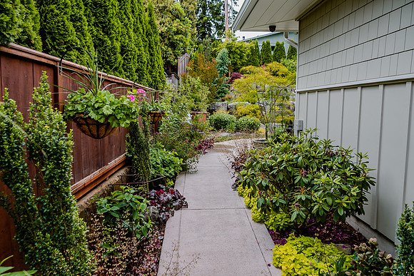 DSC_1699