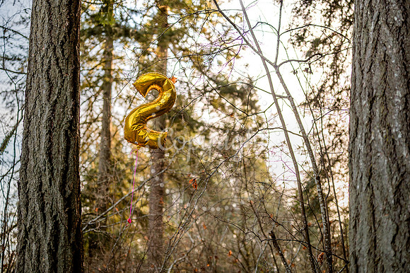 DSC_9029