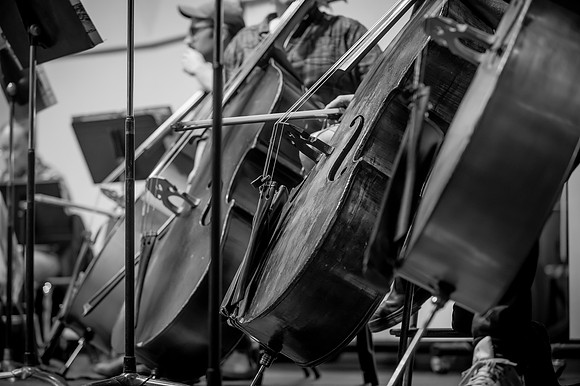 DSC_7296-2