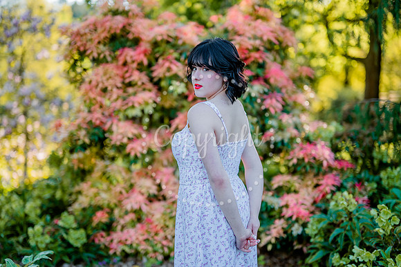 DSC_3461