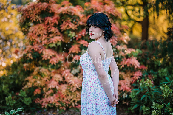 DSC_3462