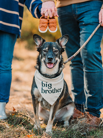 Gig Harbor pregnancy announcement