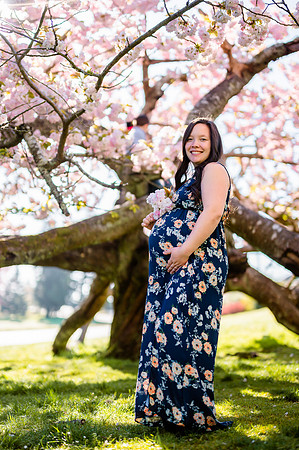 Cherry Blossom Photos Tacoma