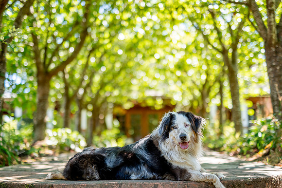 DSC_4678