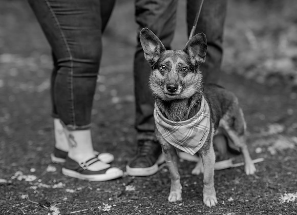 DSC_0451-2